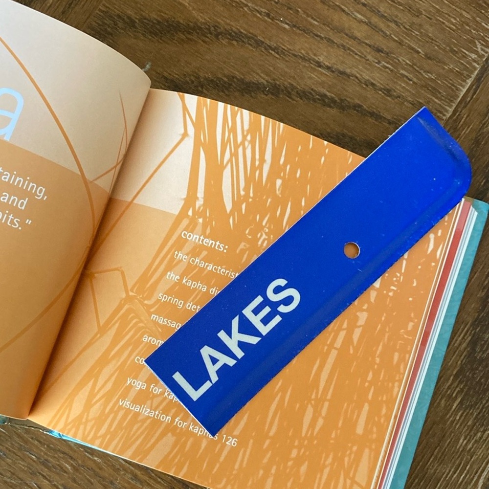 10/$30 Michigan LAKES license plate Bookmark made from metal